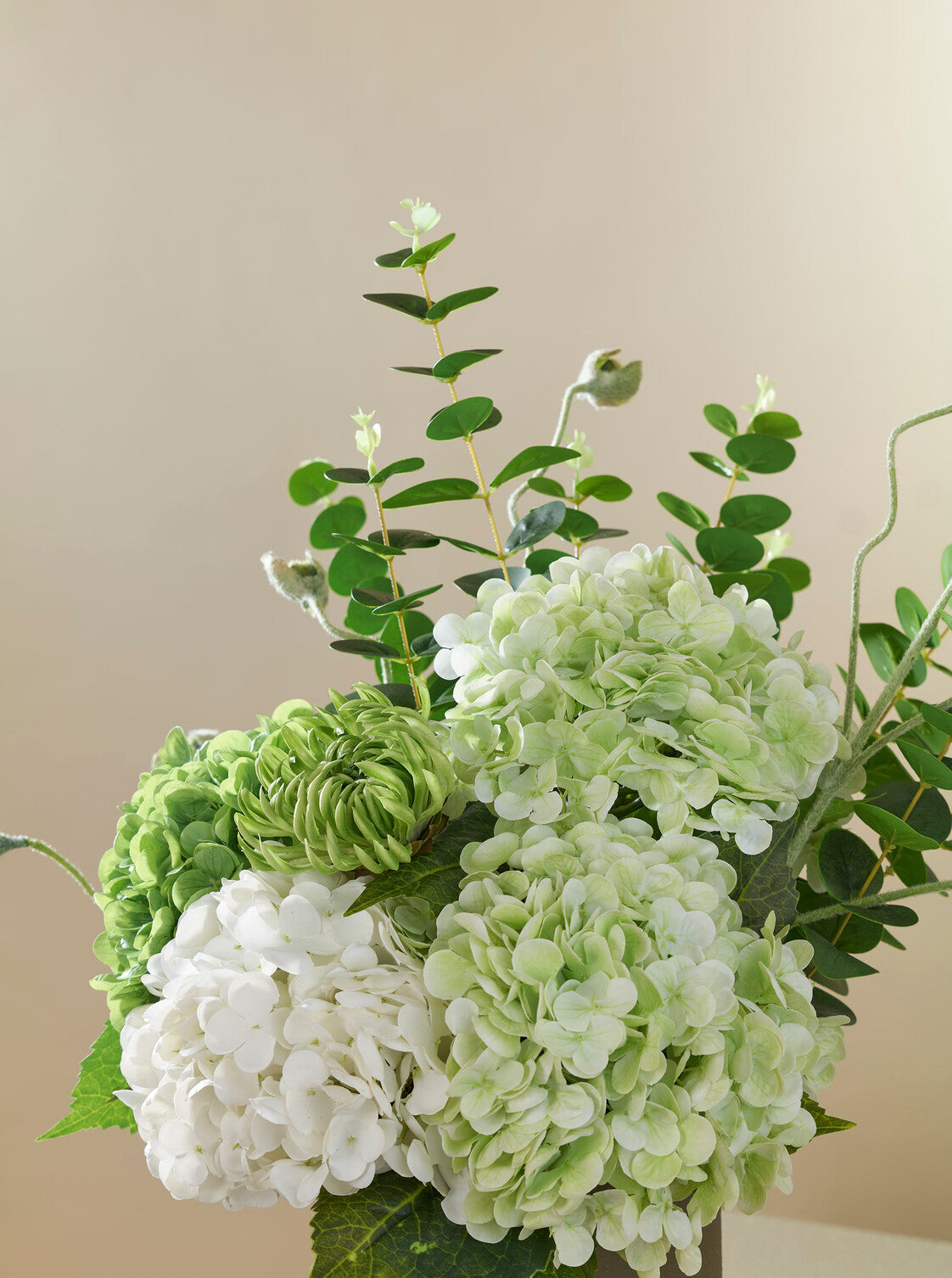 Signature Hortense