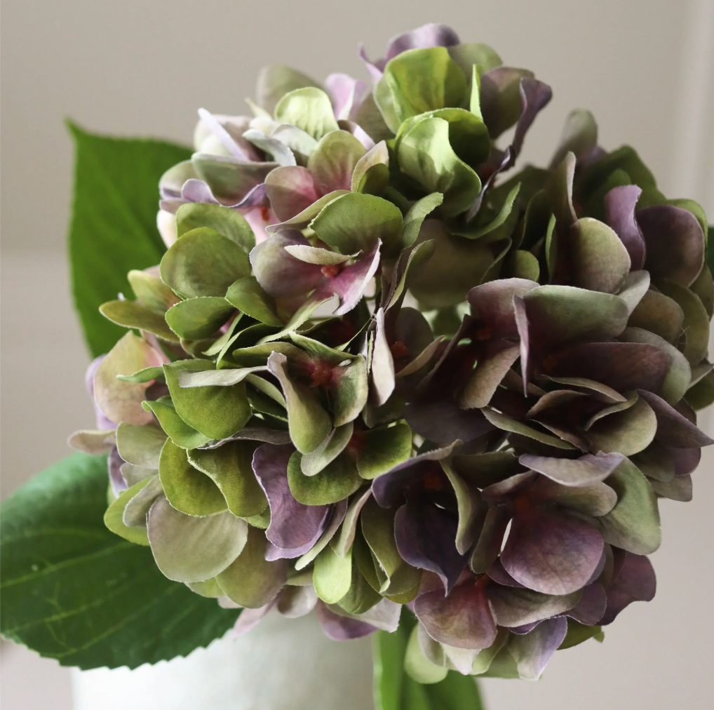 Painted hydrangea