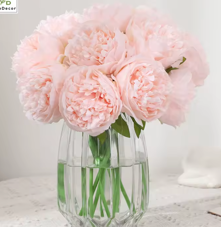 Peonies 10 stems