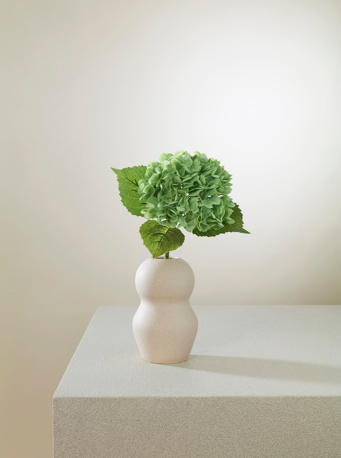 Hortensia vert intense