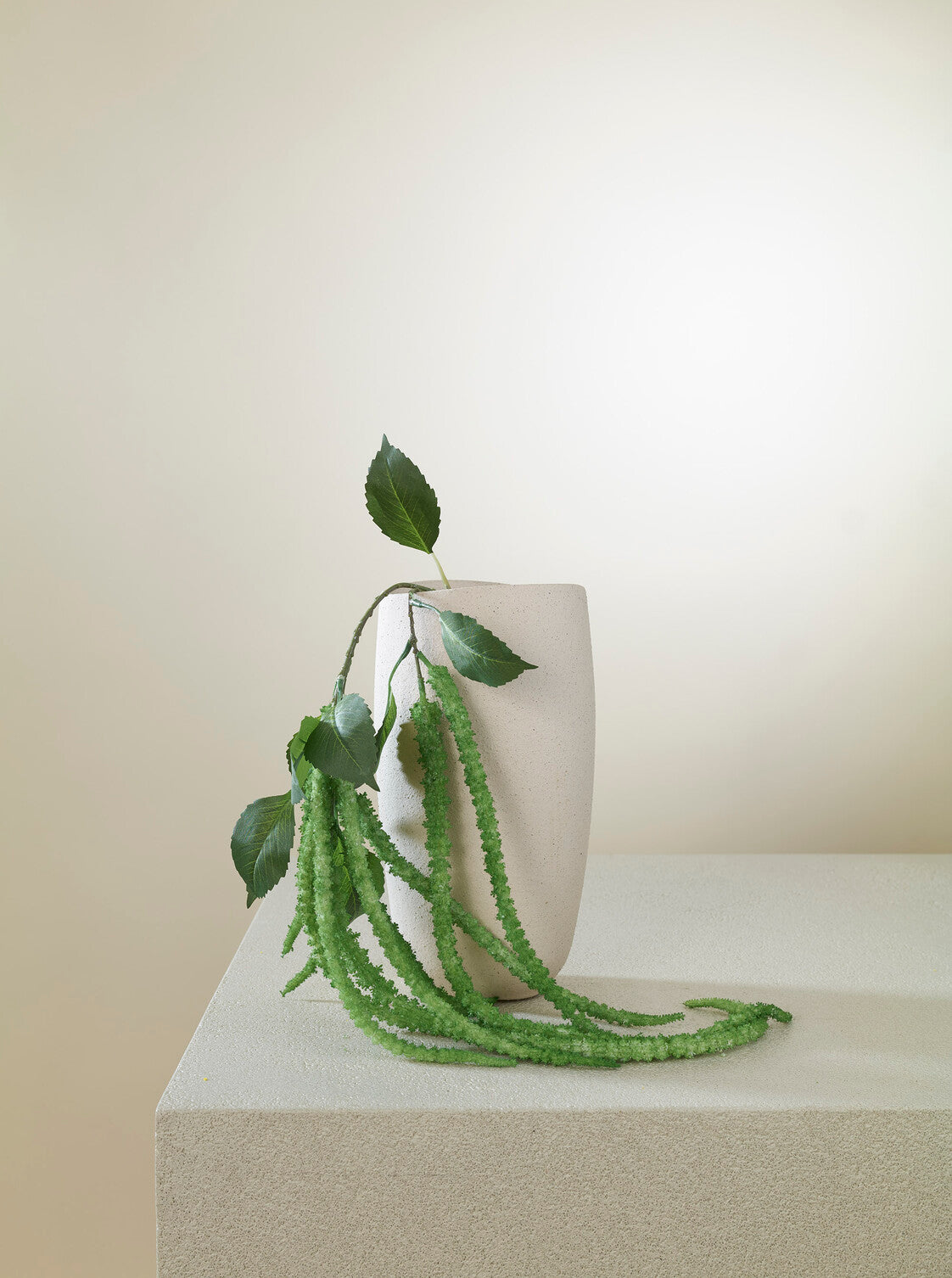 Amaranthus vert