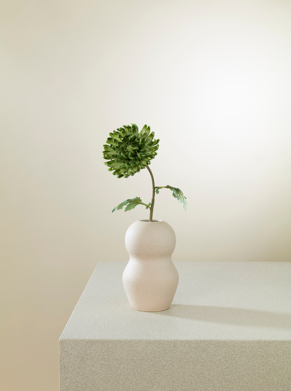 Cactus Dahlia vert