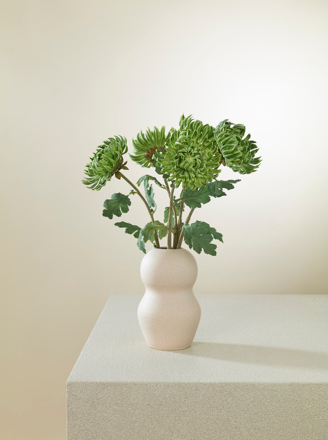 Cactus Dahlia vert
