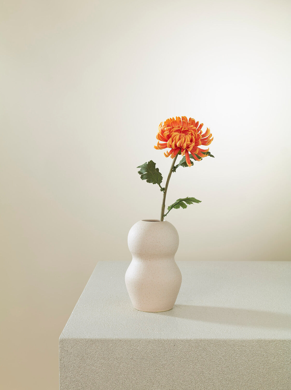 Cactus Dahlia orange