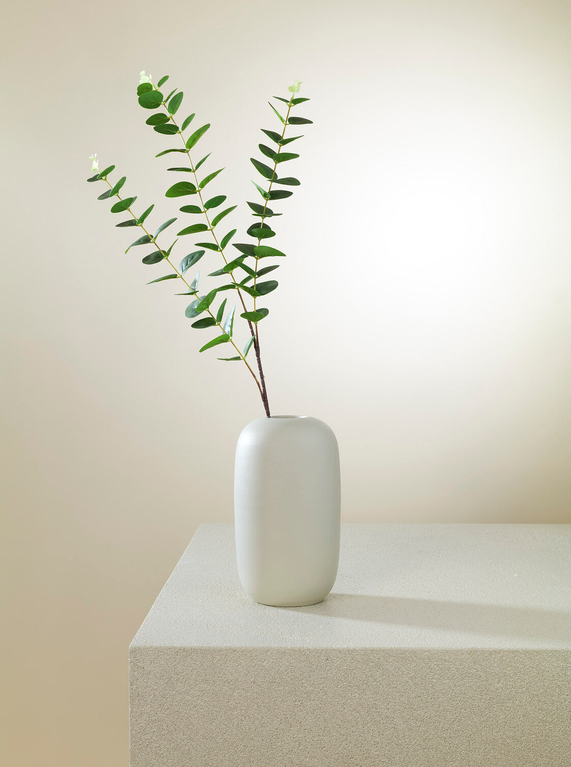Eucalyptus