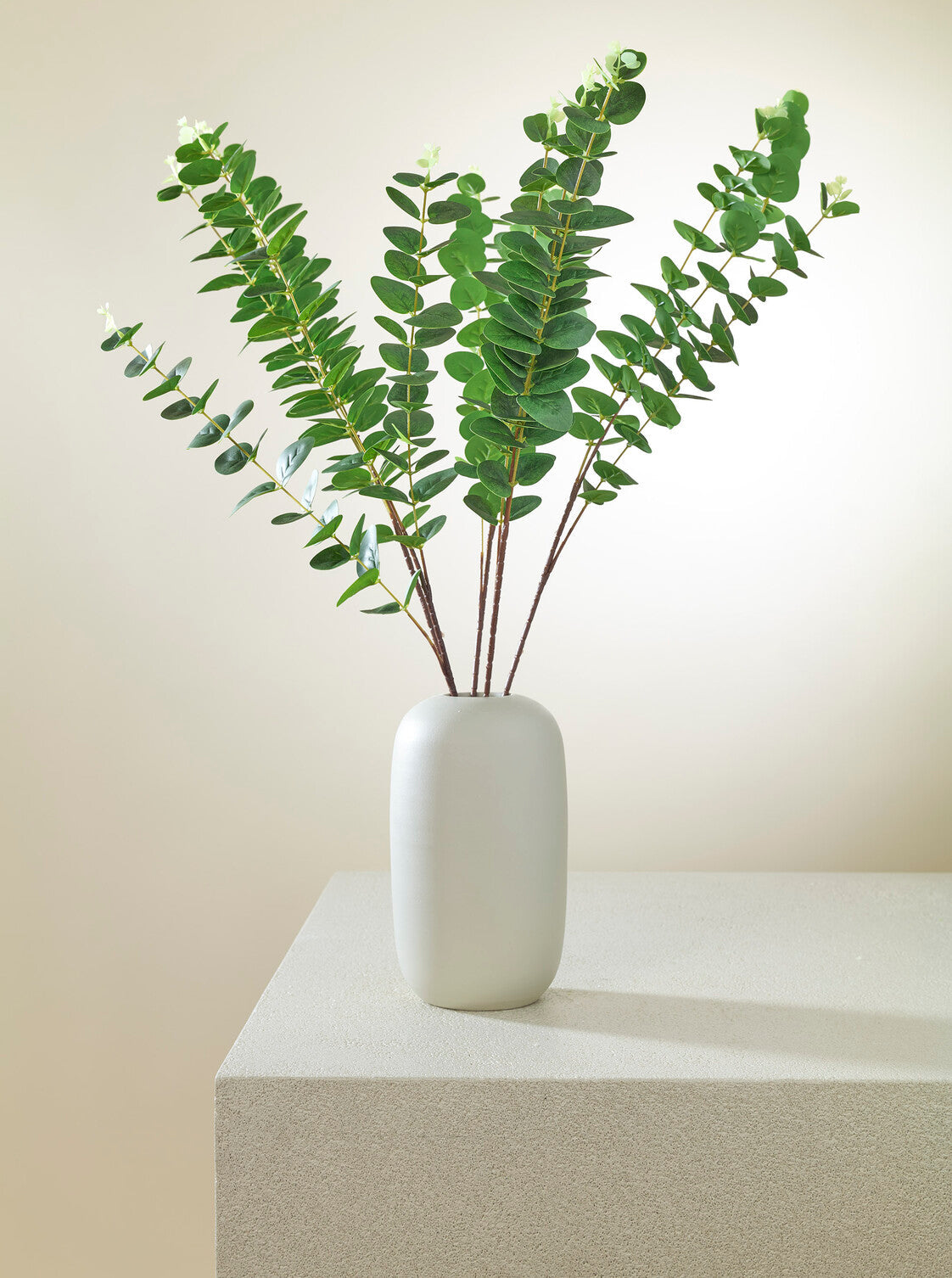 Eucalyptus