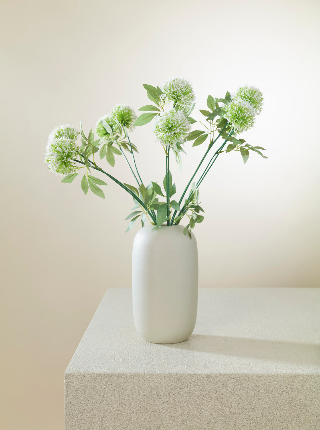 Allium vert