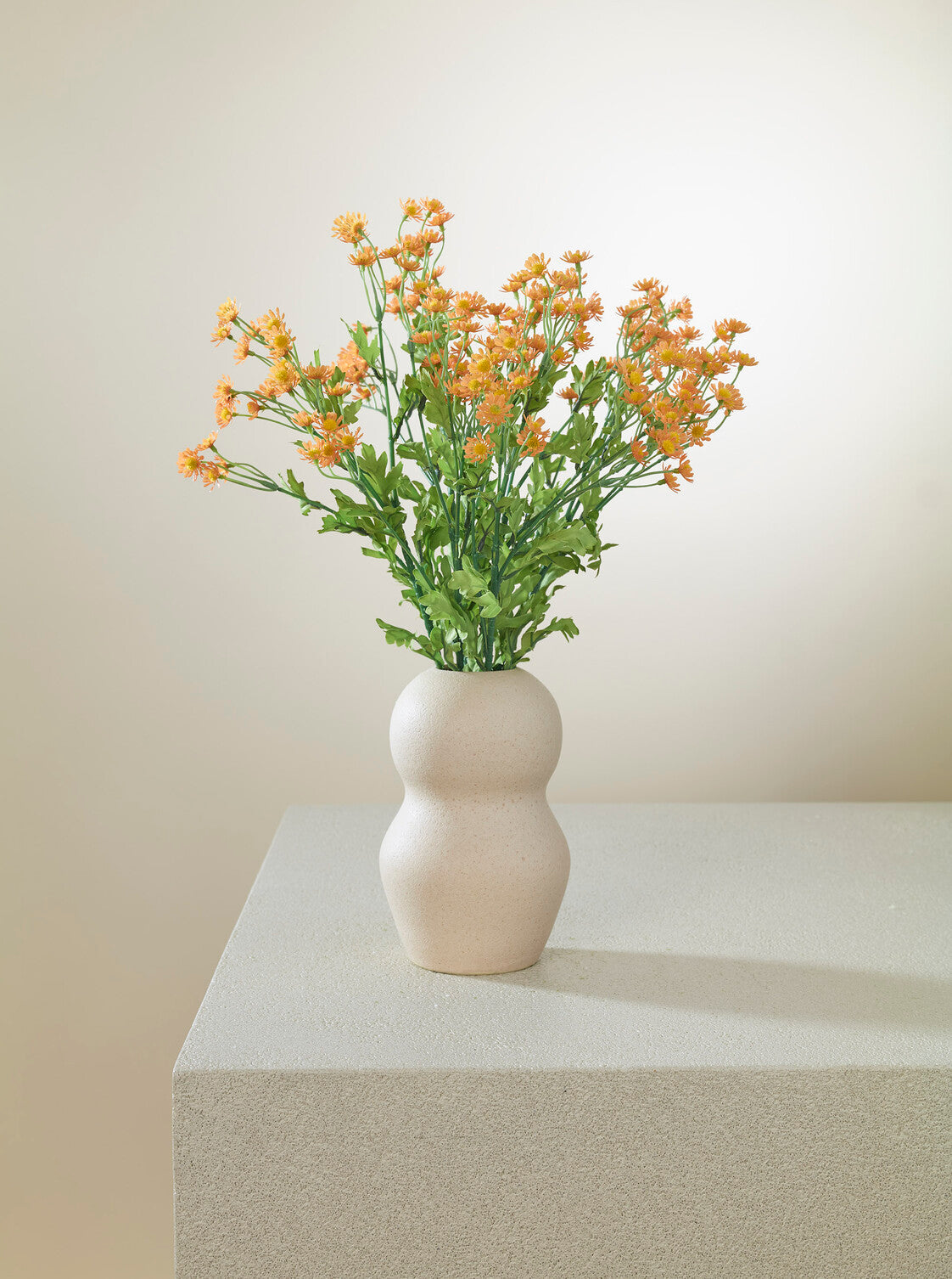 Camomille orange