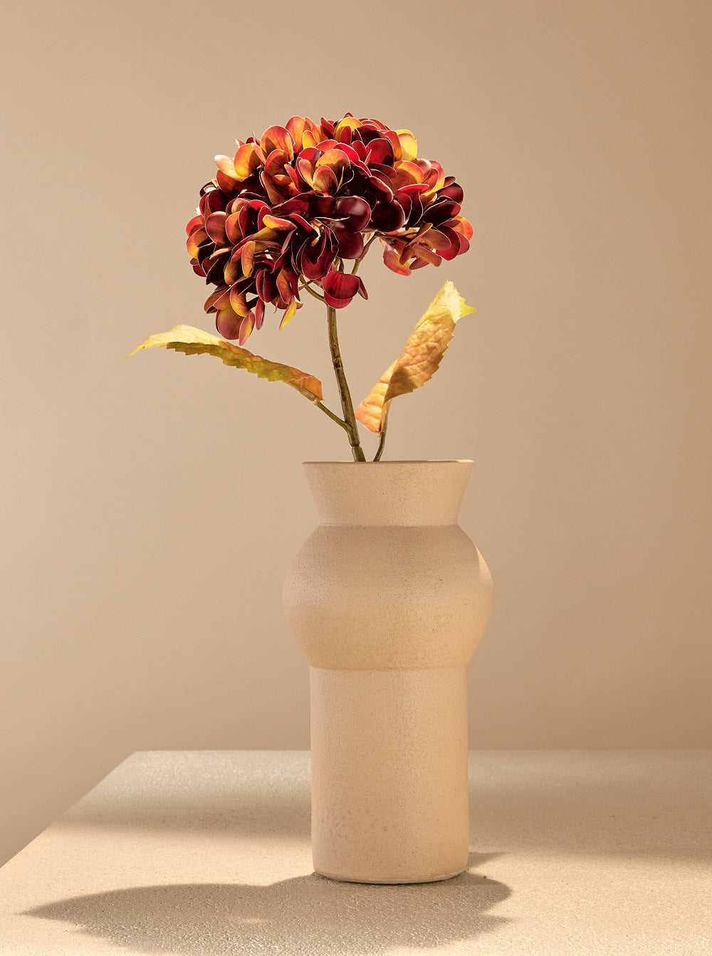 Hortensia d'automne bordeaux