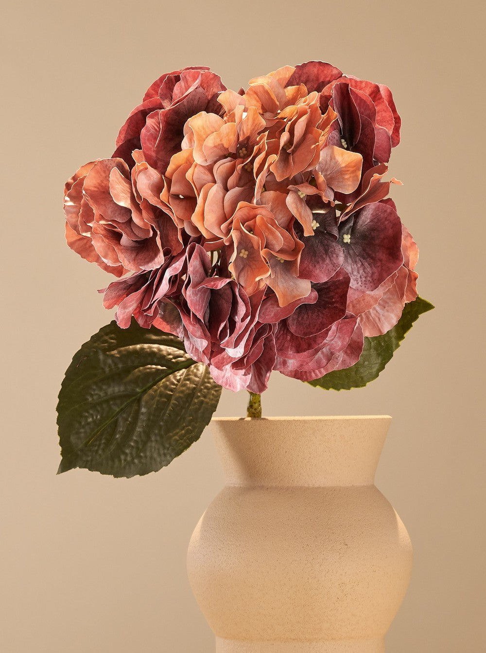 Hortensia passion - détail