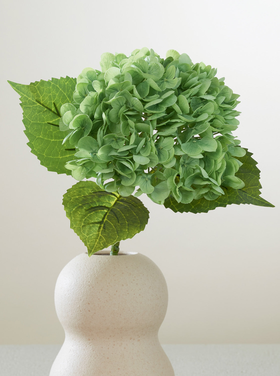Hortensia vert intense