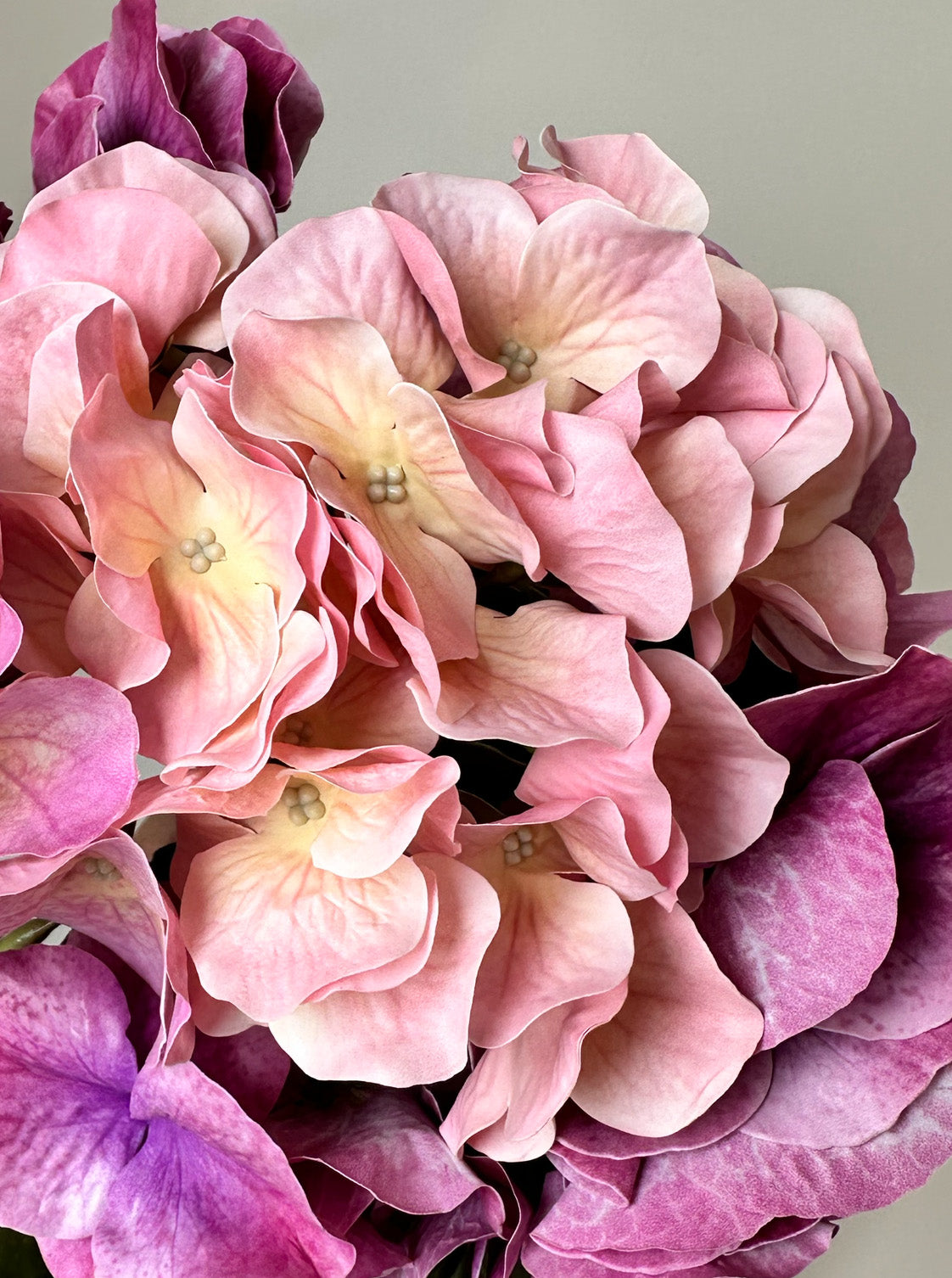 Hortensia poème
