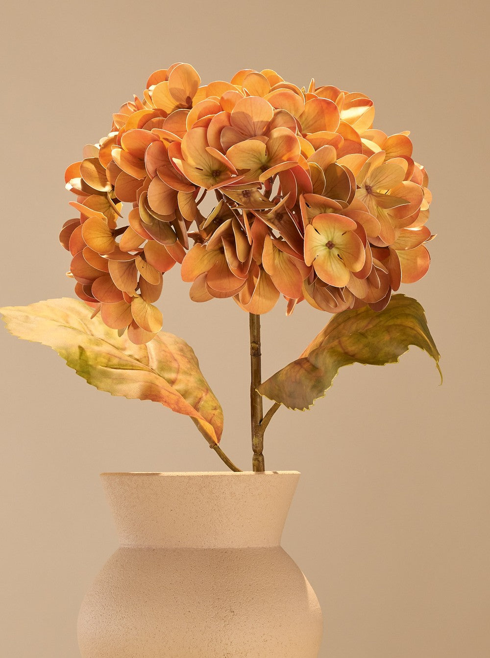 Hortensia d'automne orange - détail