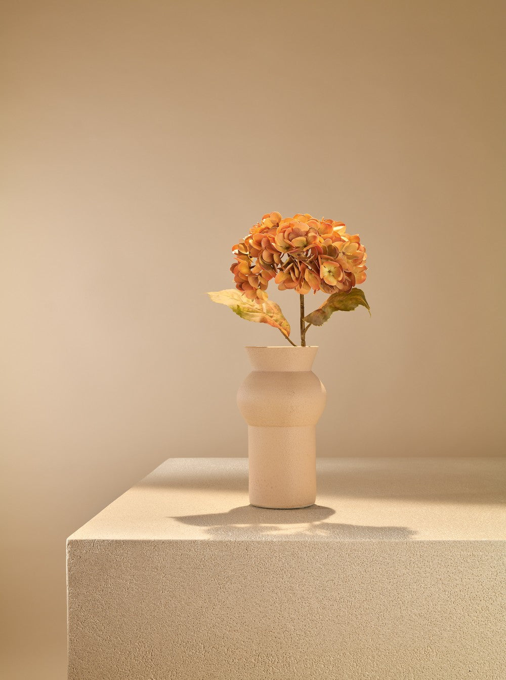 Hortensia d'automne orange
