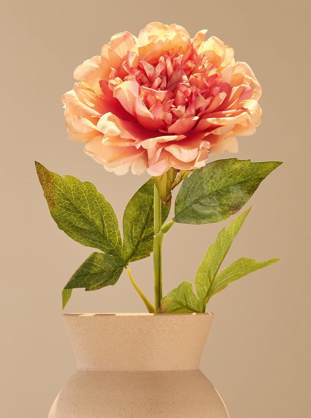 Pivoine orange - détail