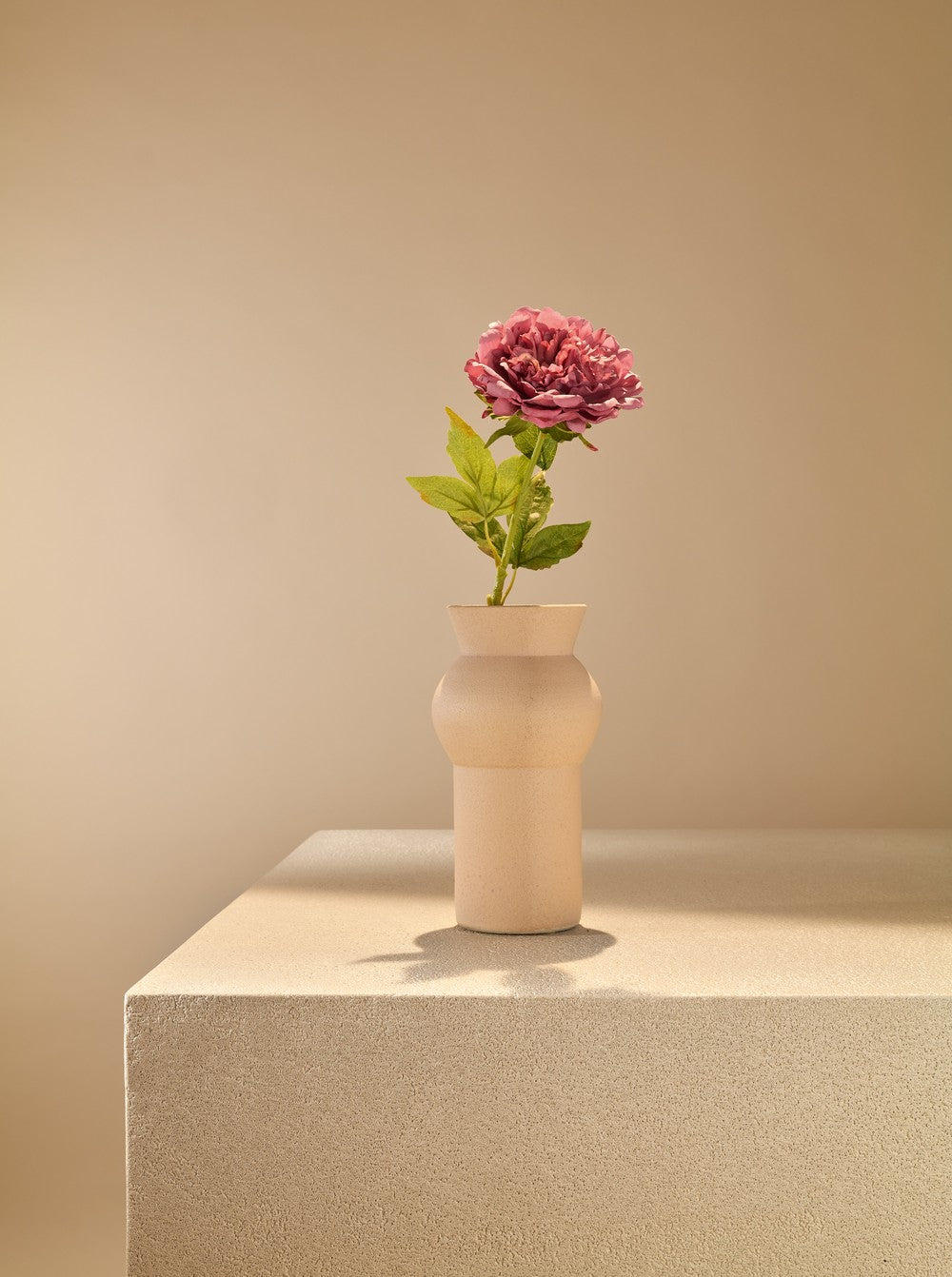 Pivoine rose poudrée