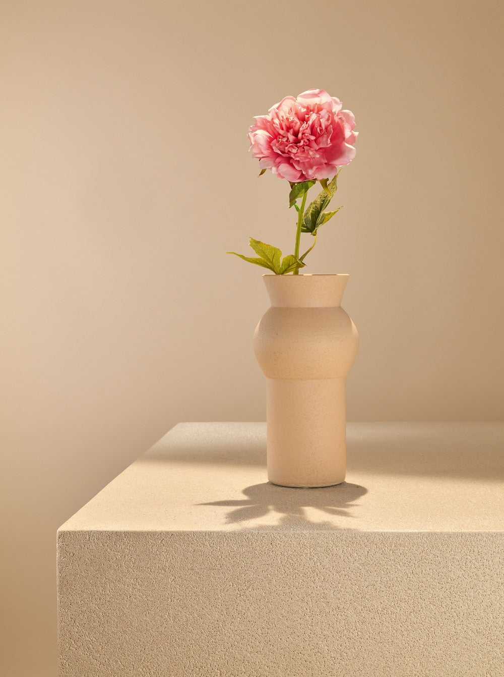 Pivoine rose