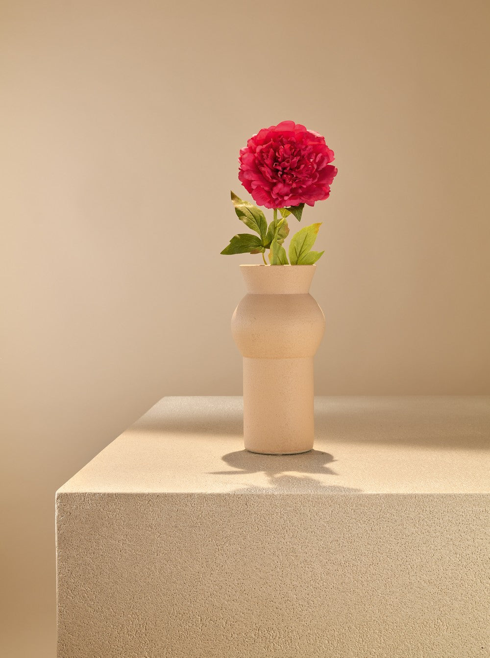 Pivoine rouge