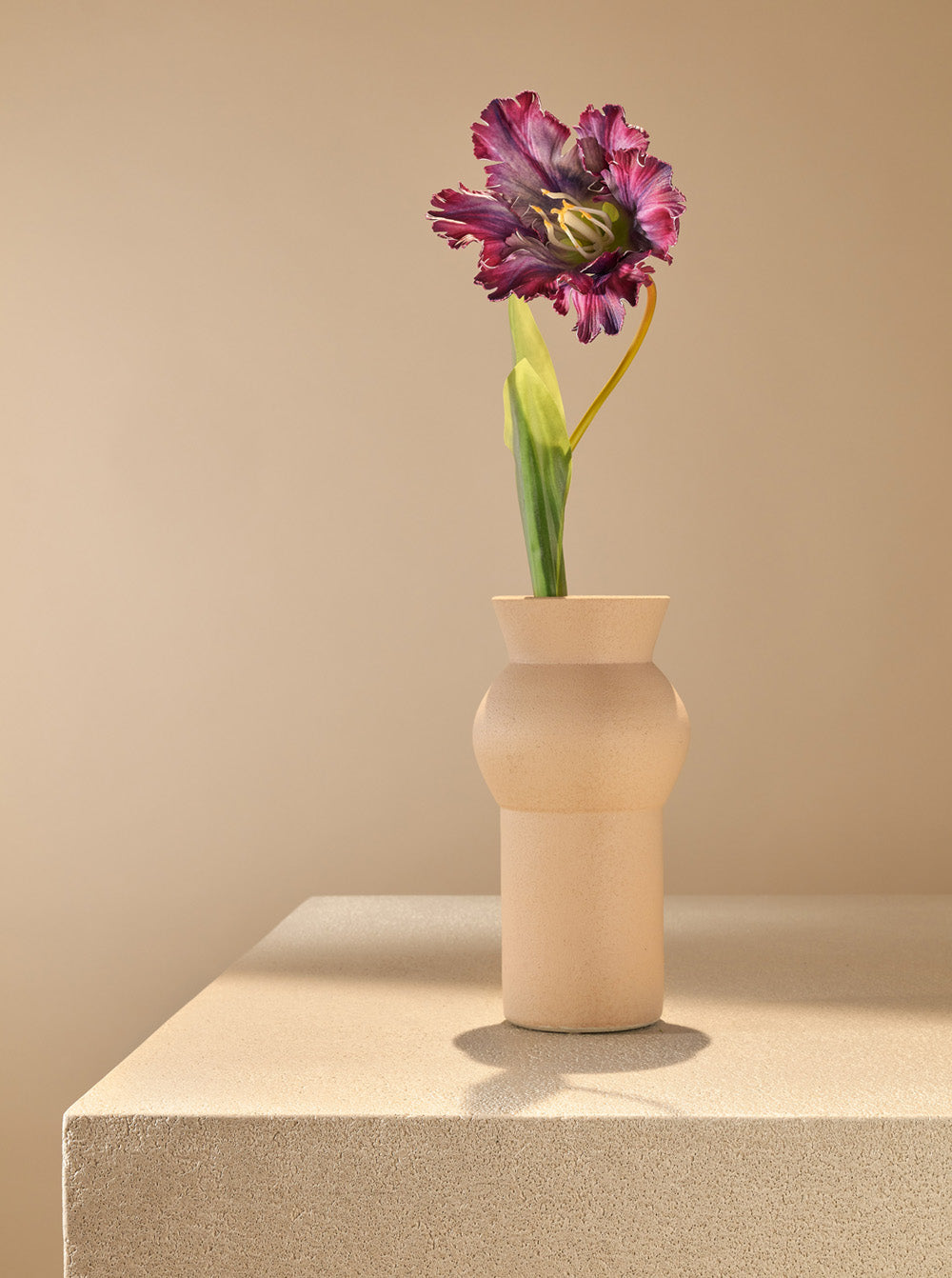 Tulipe perroquet - vase