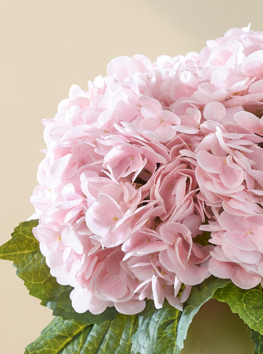 Bouquet d'Hortensias roses