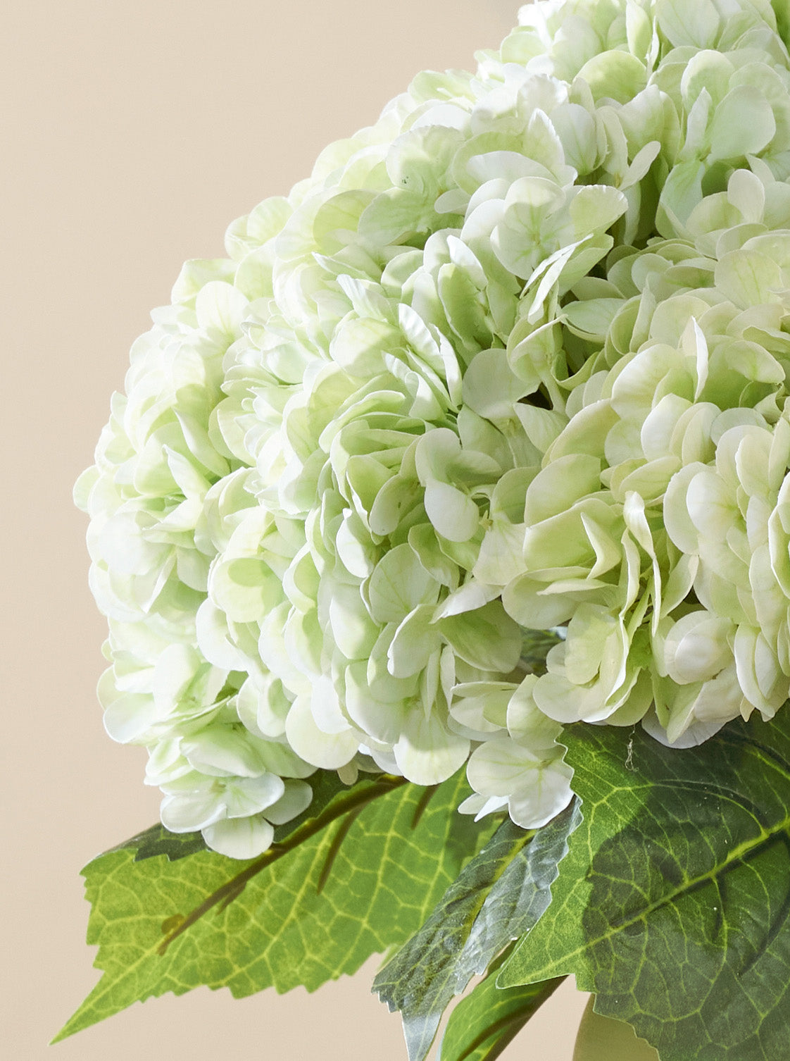 Bouquet d'Hortensias verts clairs