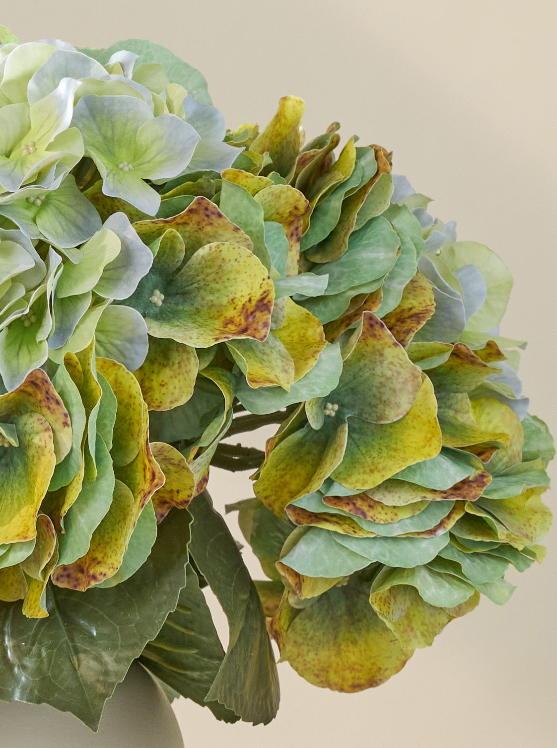Bouquet d'Hortensias Vert-de-gris