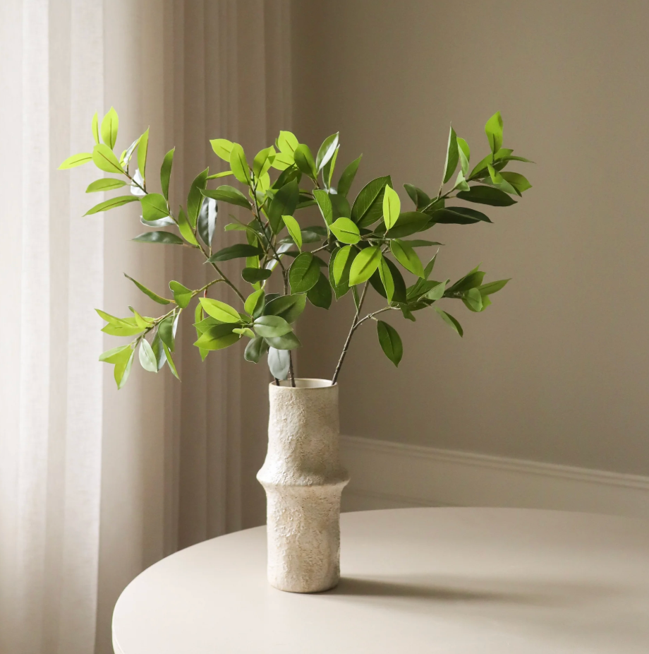 Green ruscus