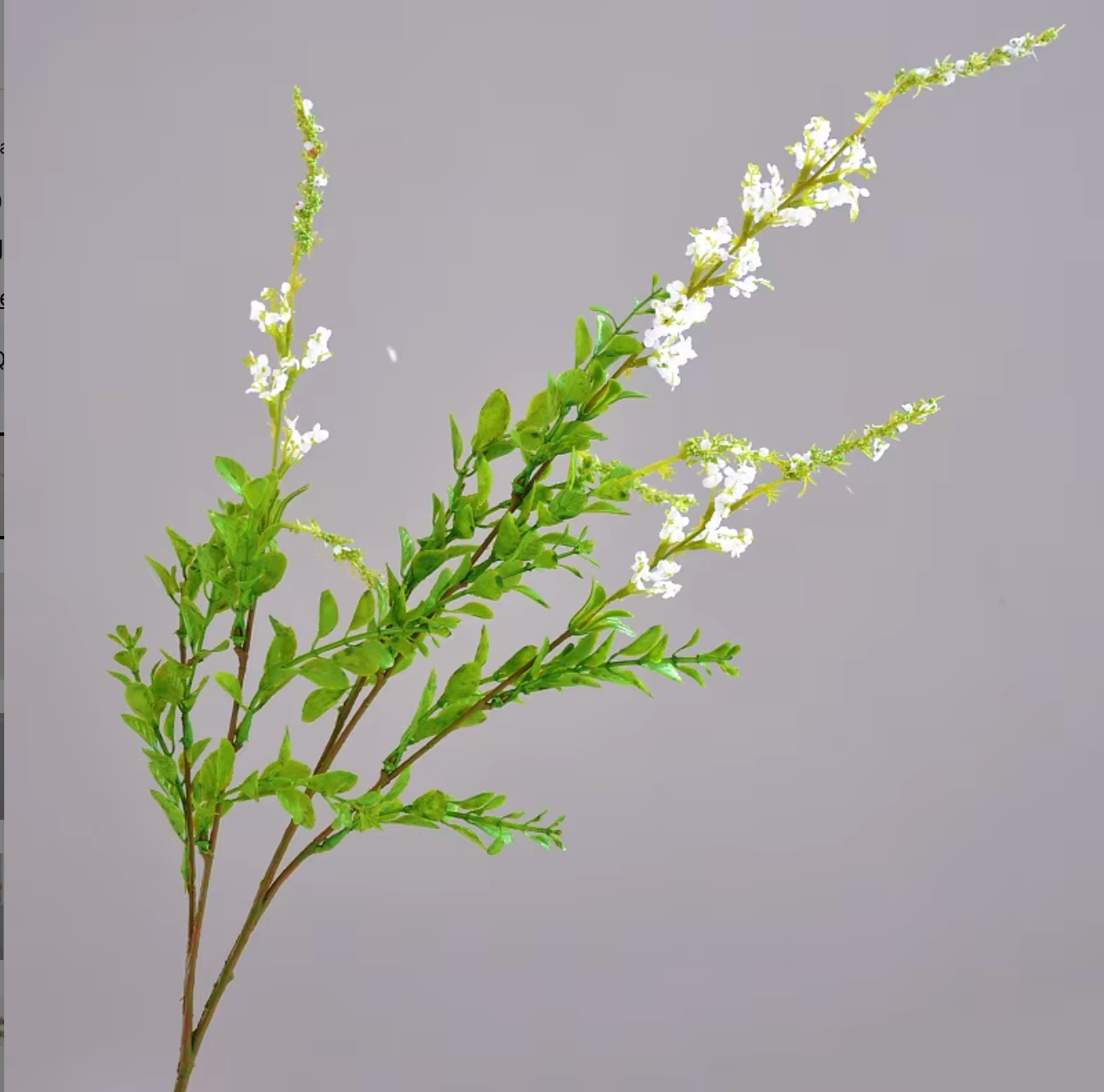 Wildflower salvia