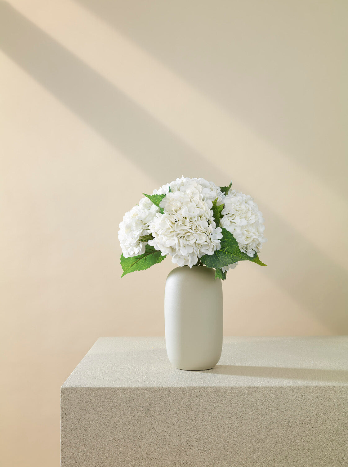 Hortensia blanc
