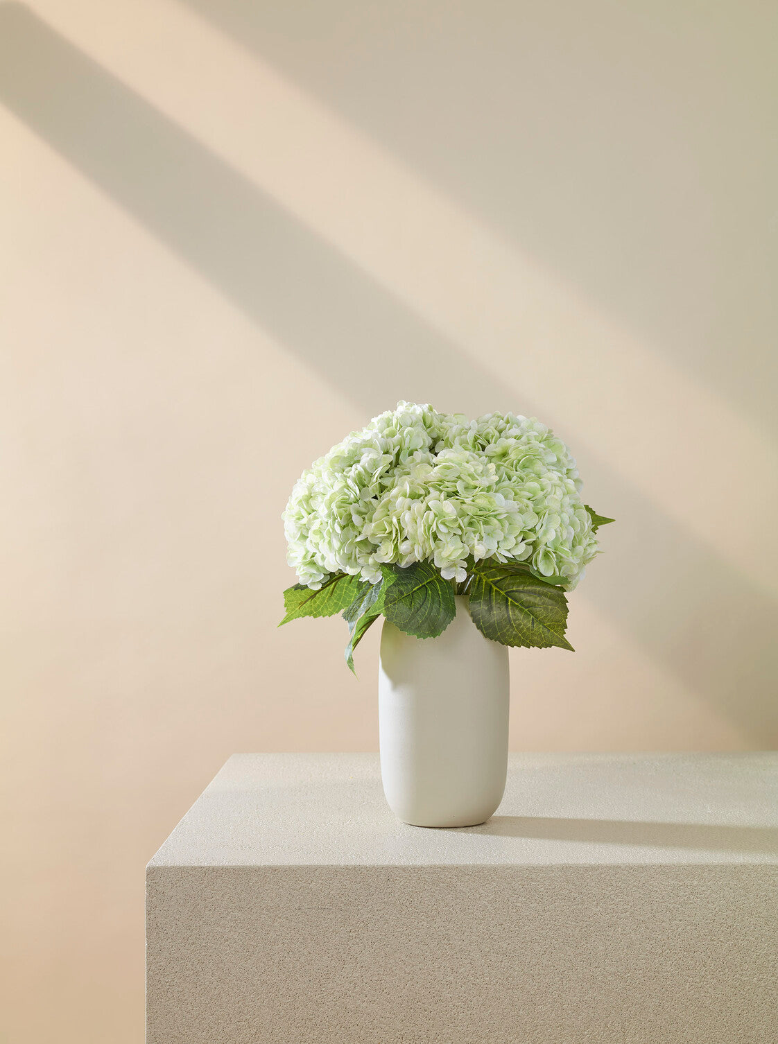 Hortensia vert tendre