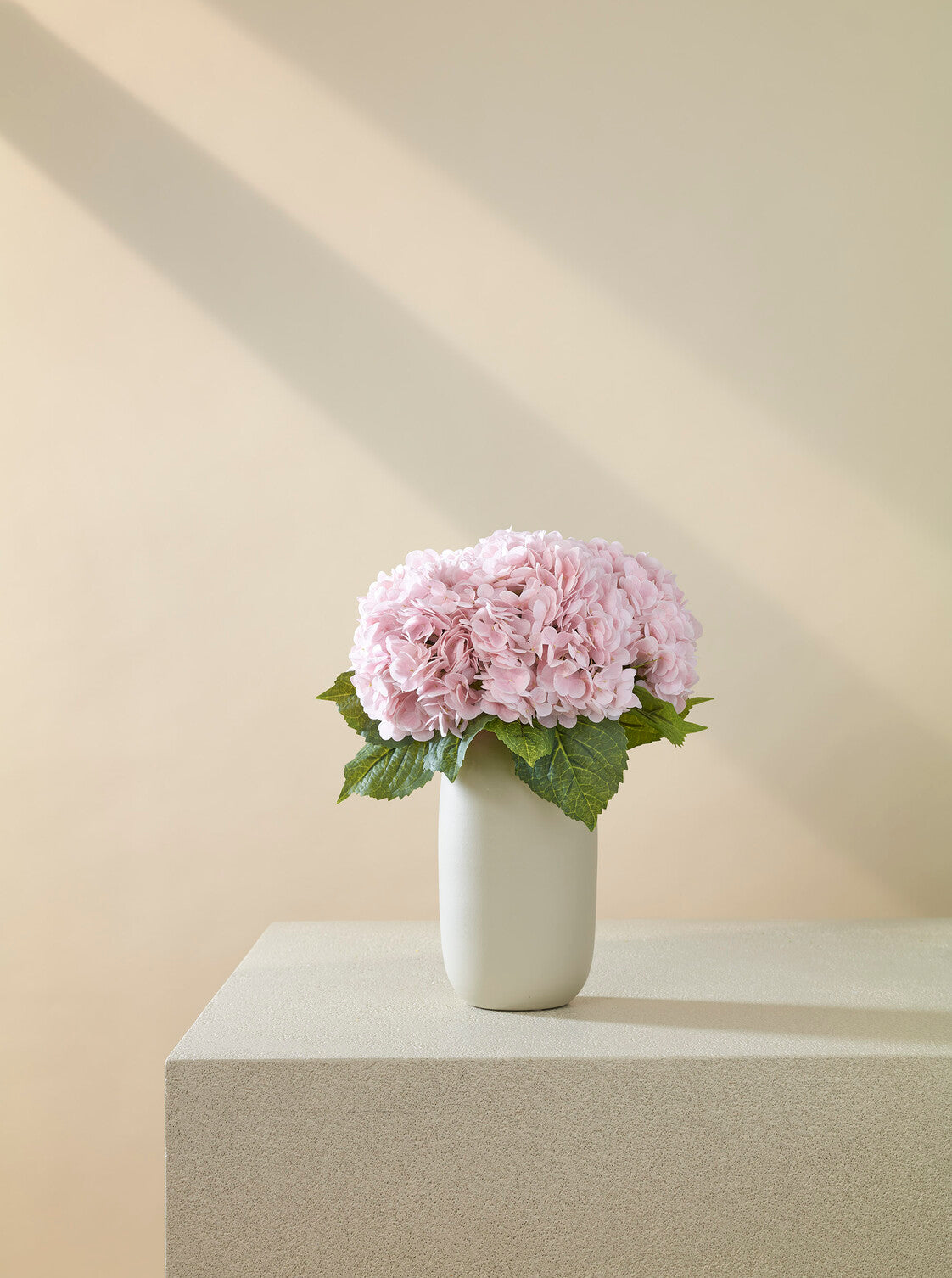 Hortensia rose