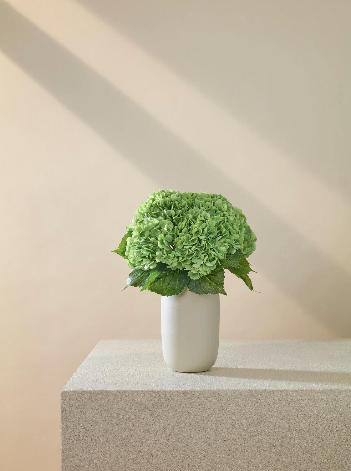 Hortensia vert intense