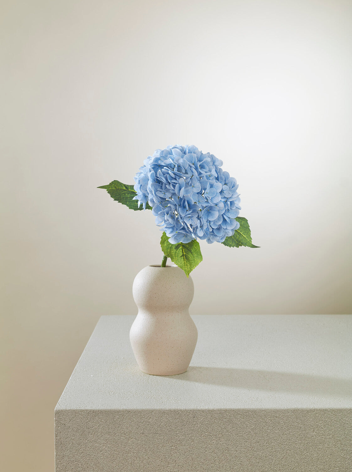Hortensia bleu