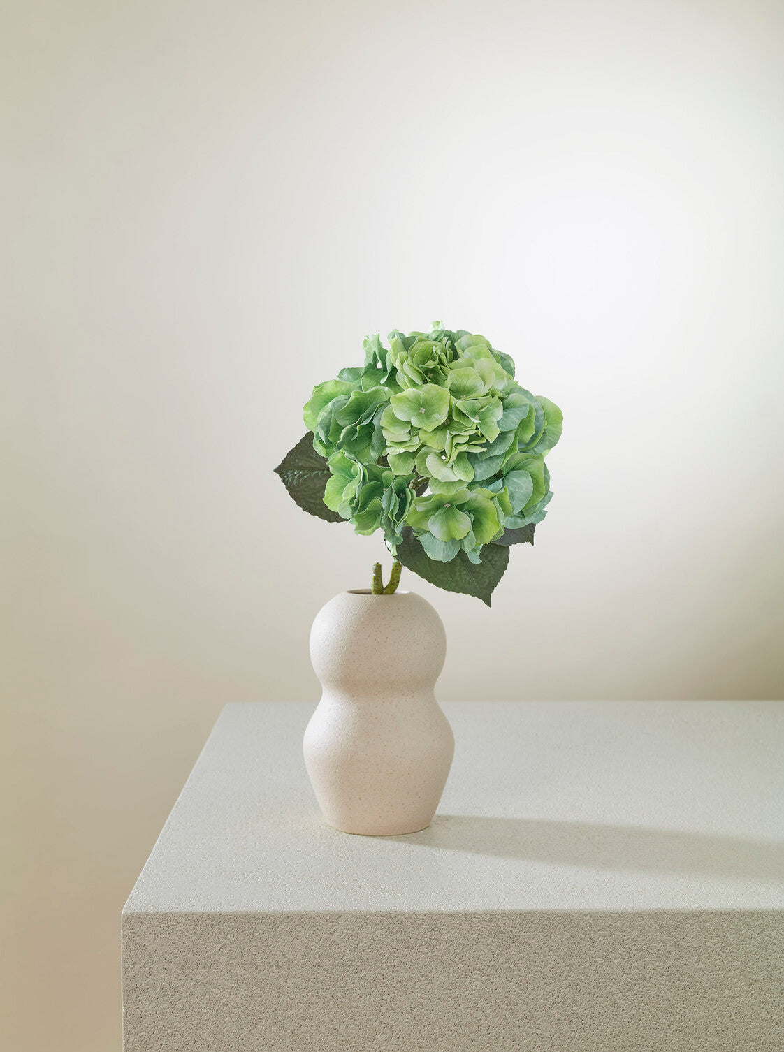 Hortensia Matcha