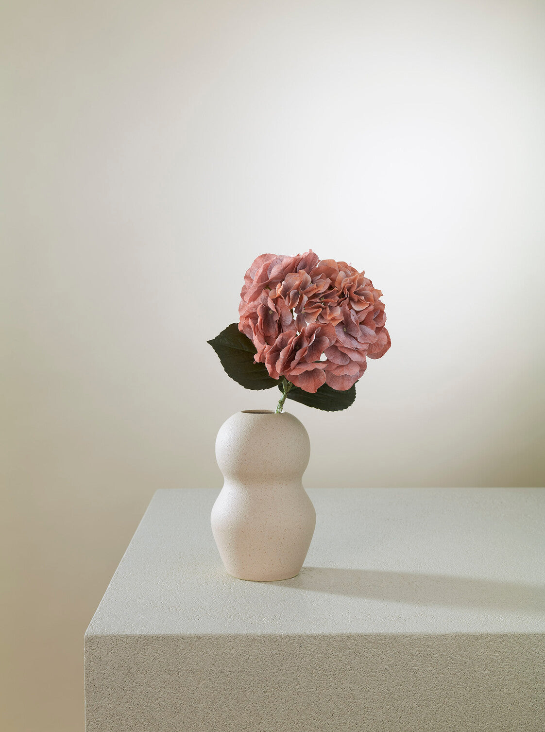 Hortensia Orange