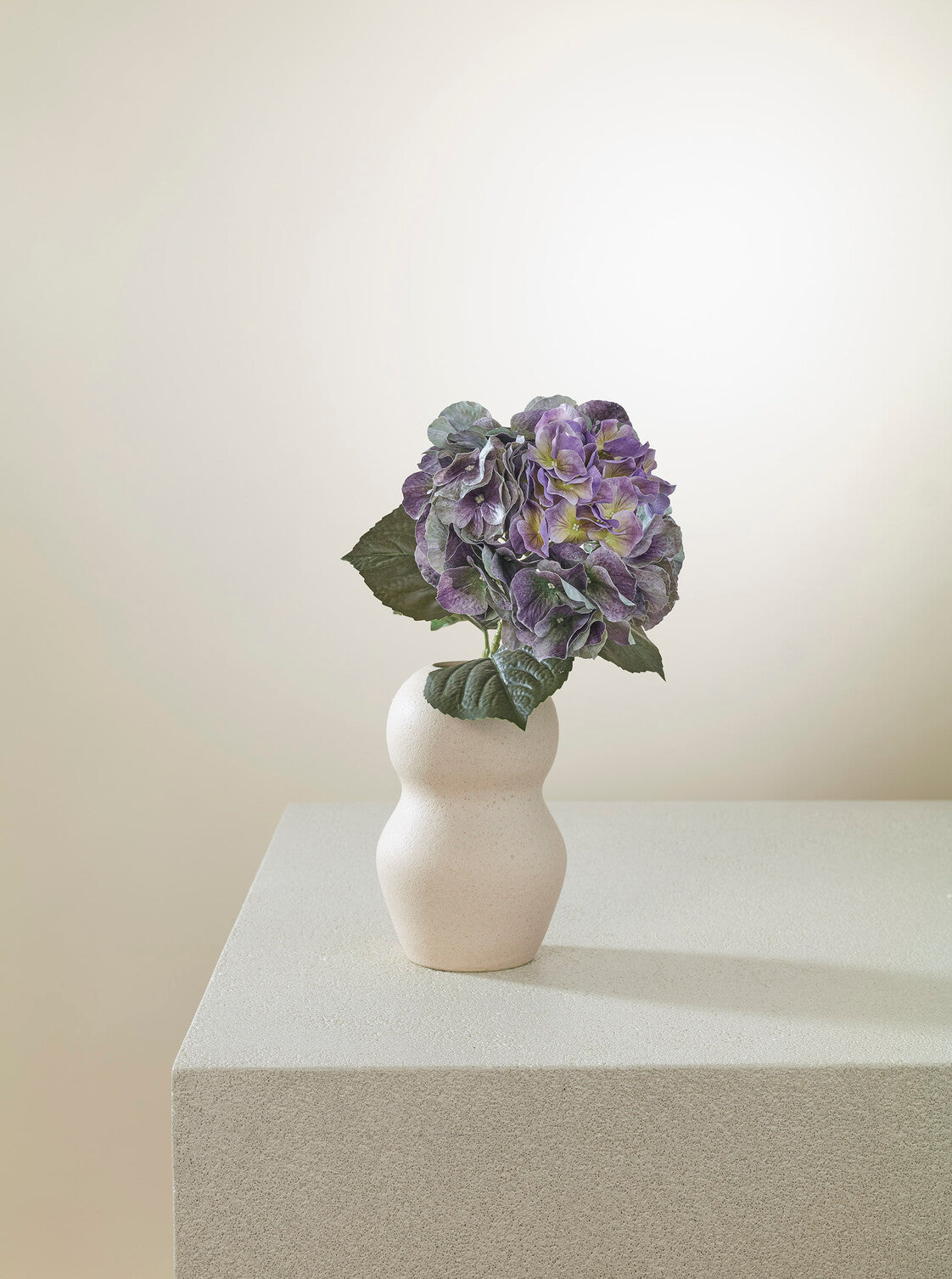 Hortensia Mauve