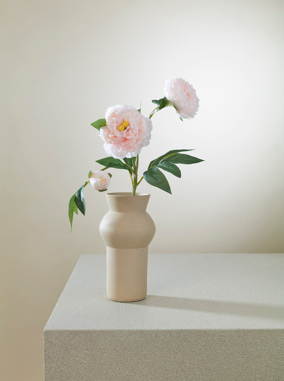 Pivoine champagne