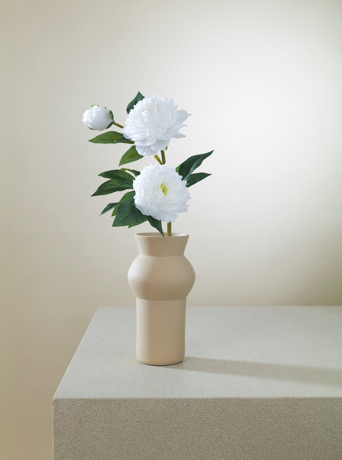 Pivoine blanche
