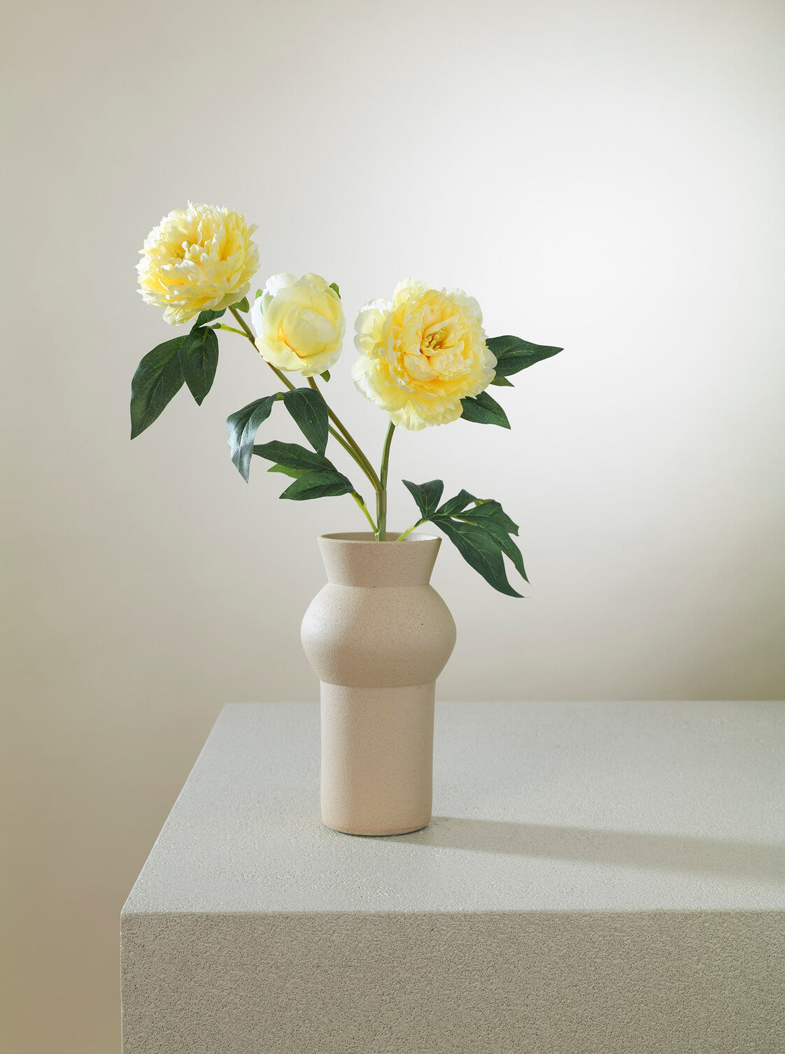 Pivoine jaune