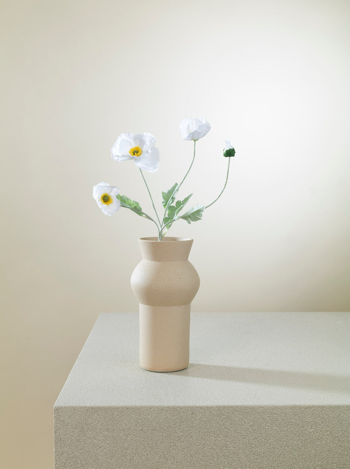 Coquelicot blanc