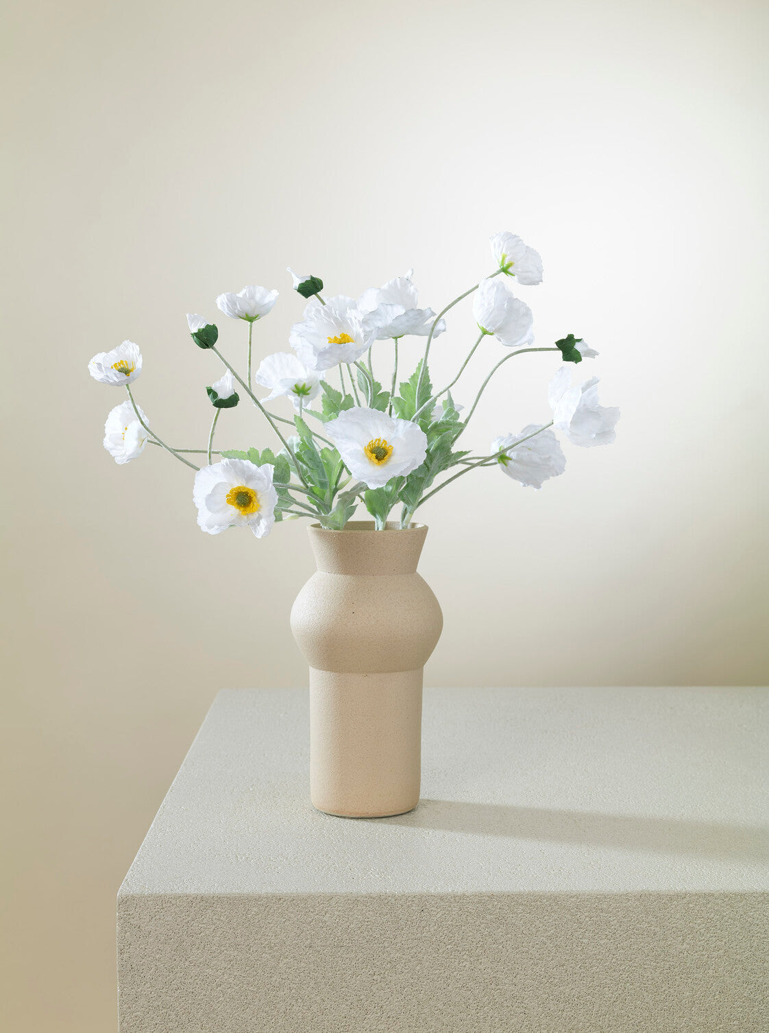 Coquelicot blanc