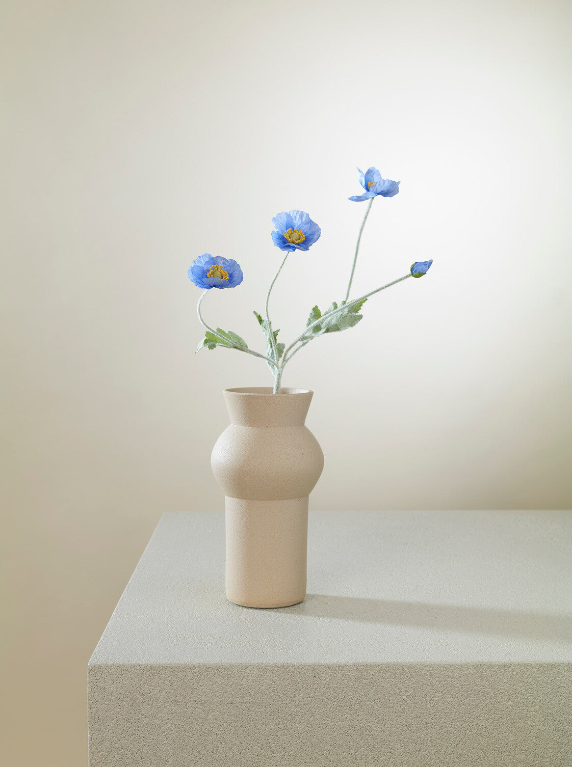 Coquelicot bleu