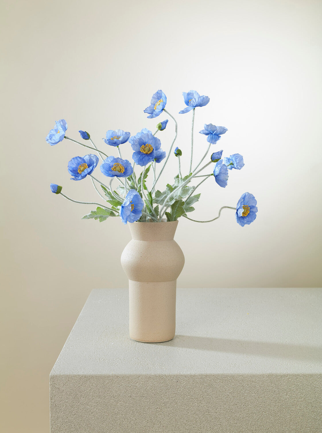 Coquelicot bleu