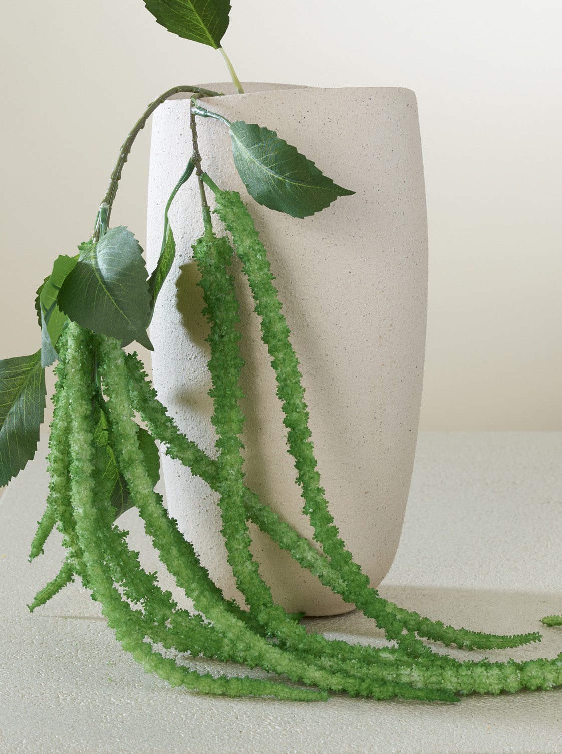 Amaranthus vert