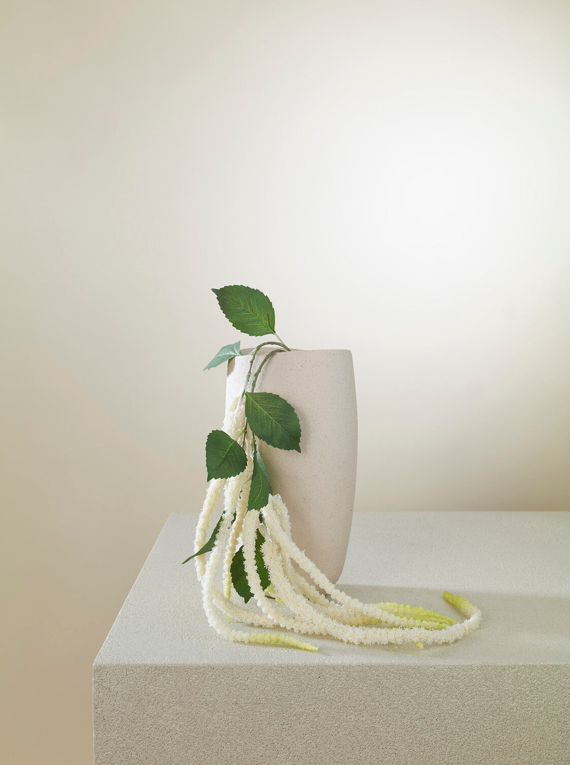 Amaranthus blanc