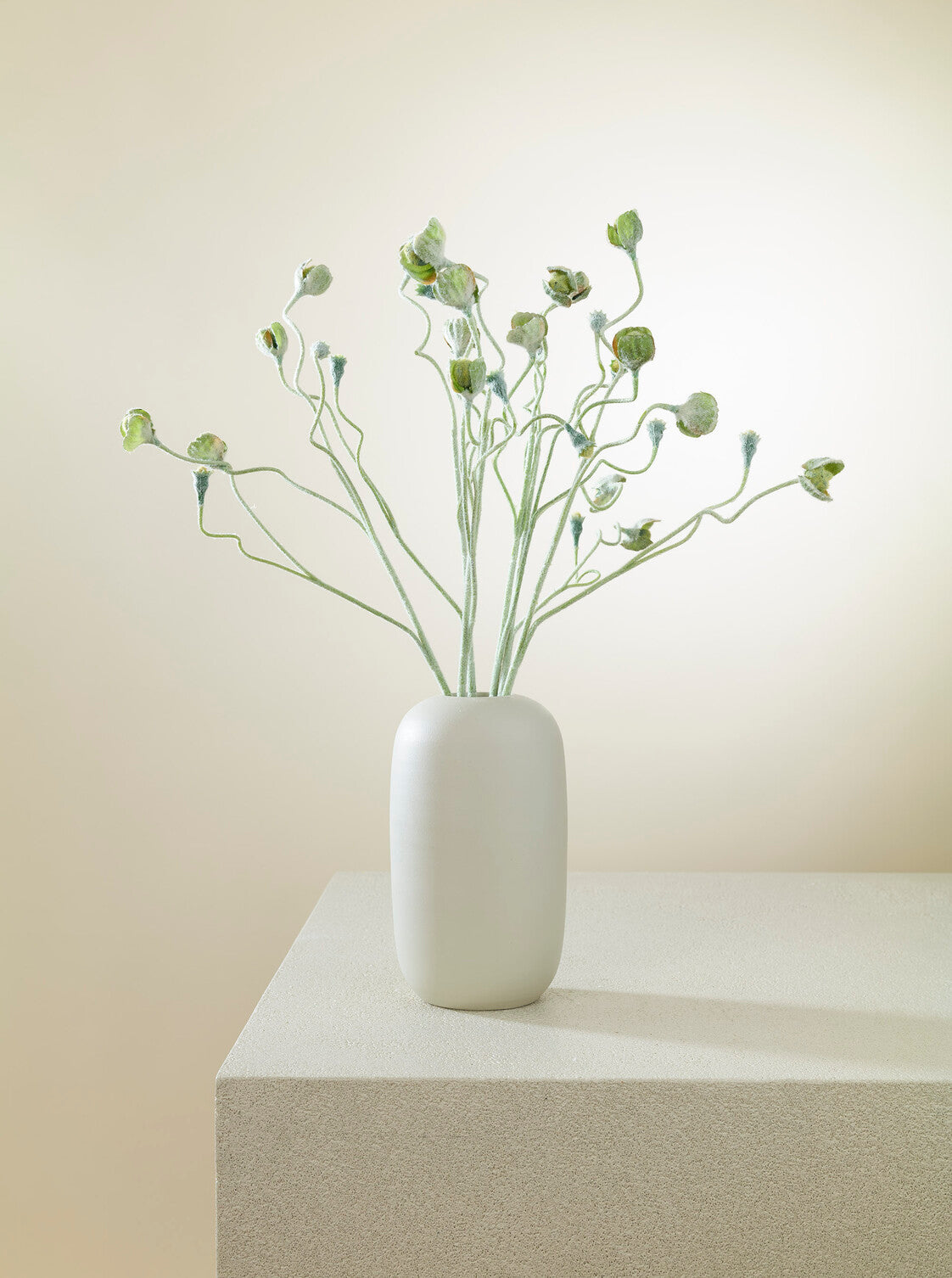 Fleur de pavot