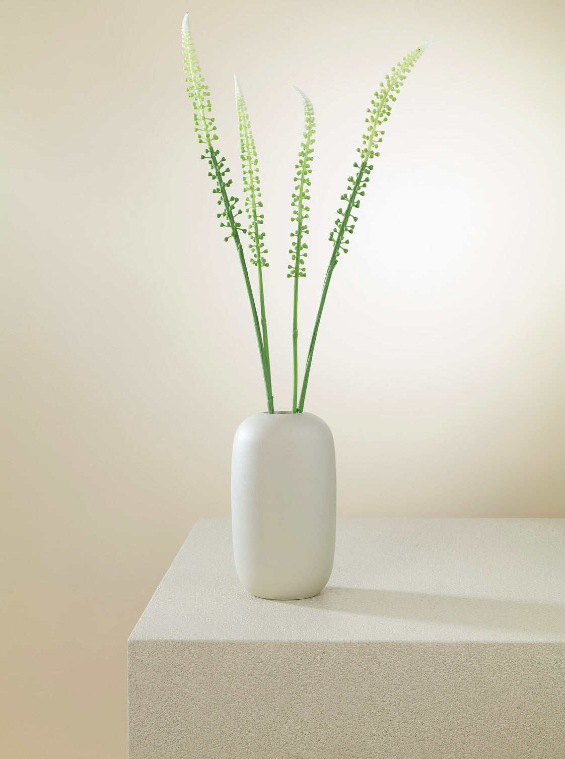 Actaea