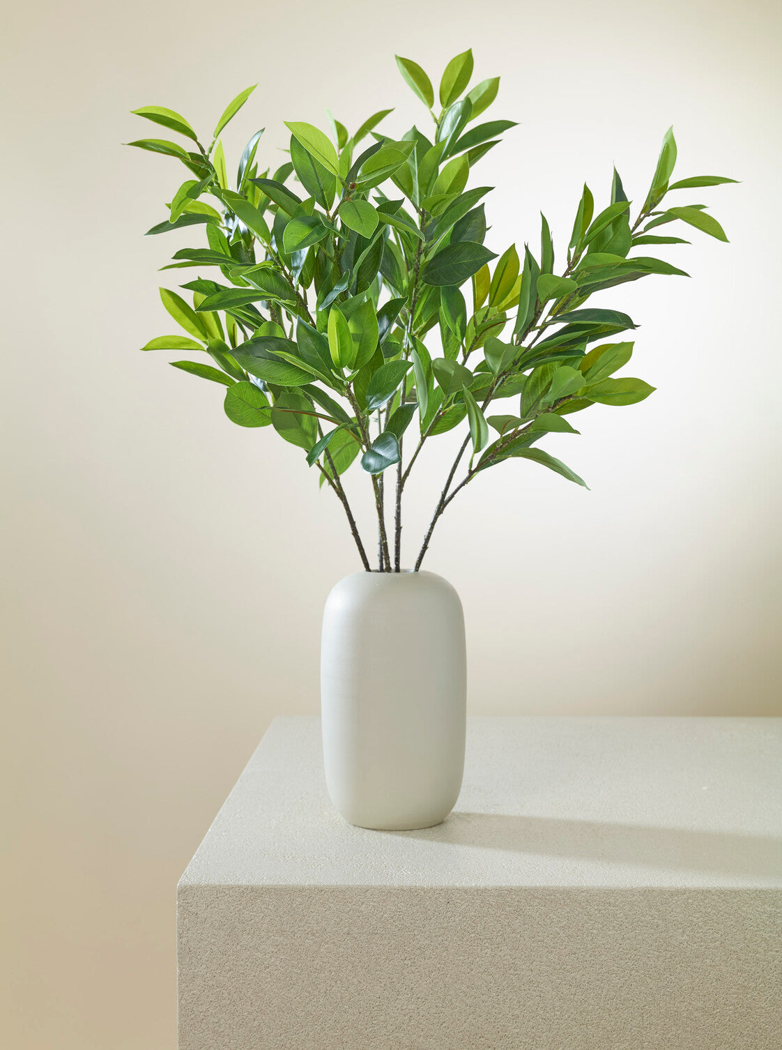 Ruscus