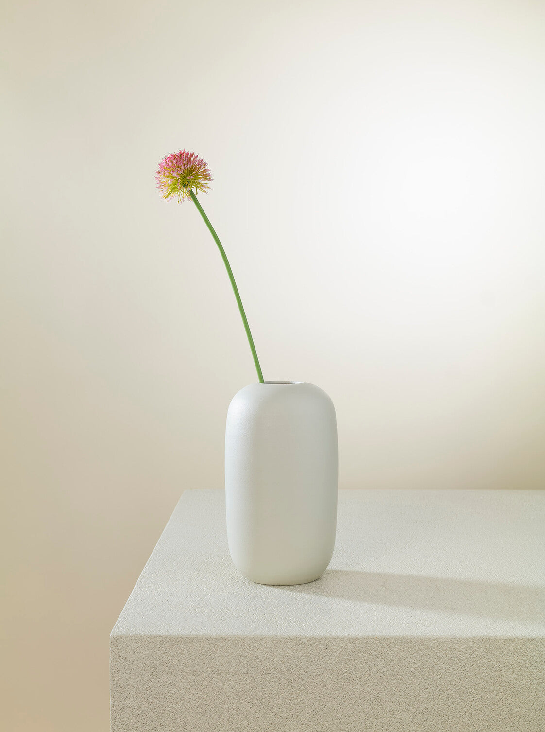 Allium rose