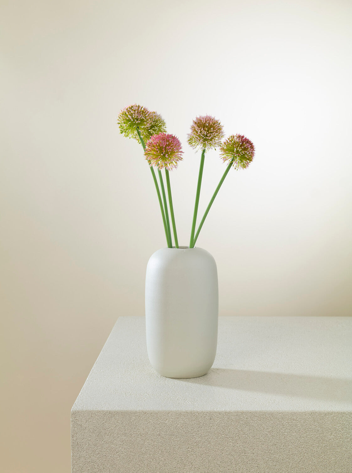 Allium rose